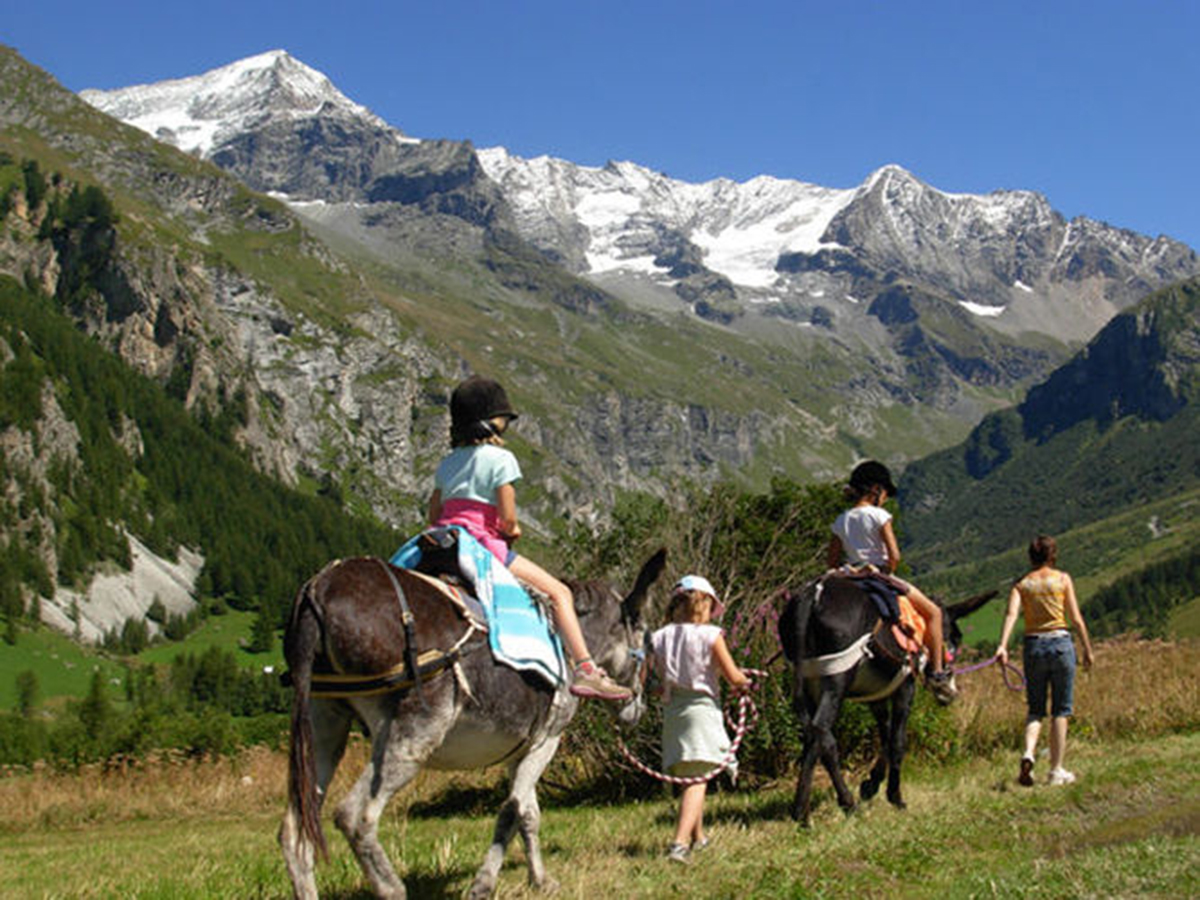 Activité Insolite en Haute-Maurienne - Ballade avec les ânes